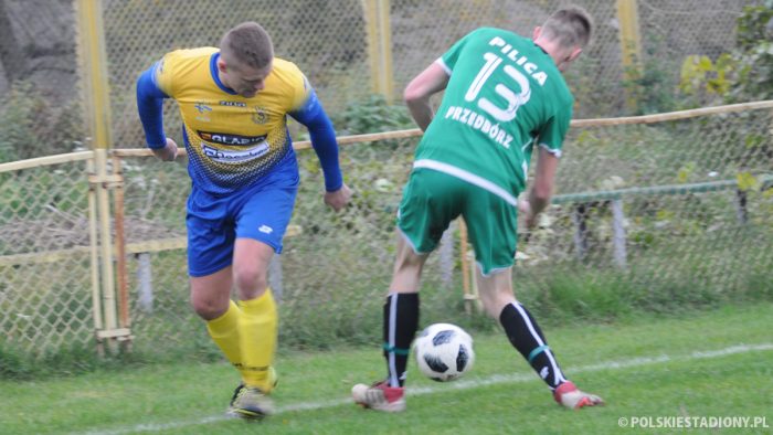 Pilica Przedbórz - Stal Niewiadów