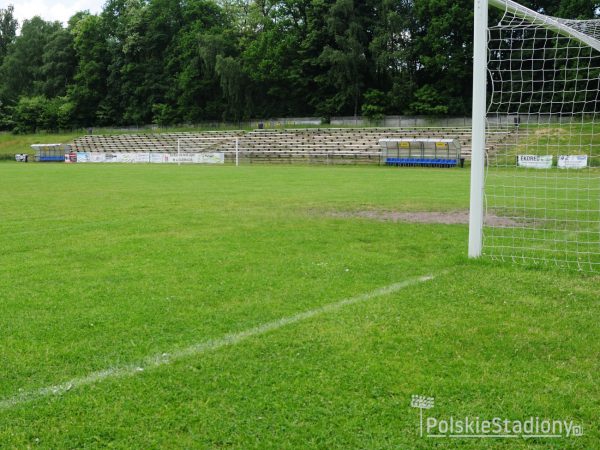 Stadion Miejski w Lędzinach